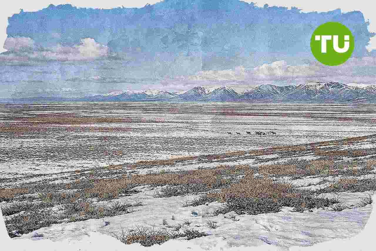 Heinrich urges oil companies to shun Arctic Refuge lease sale