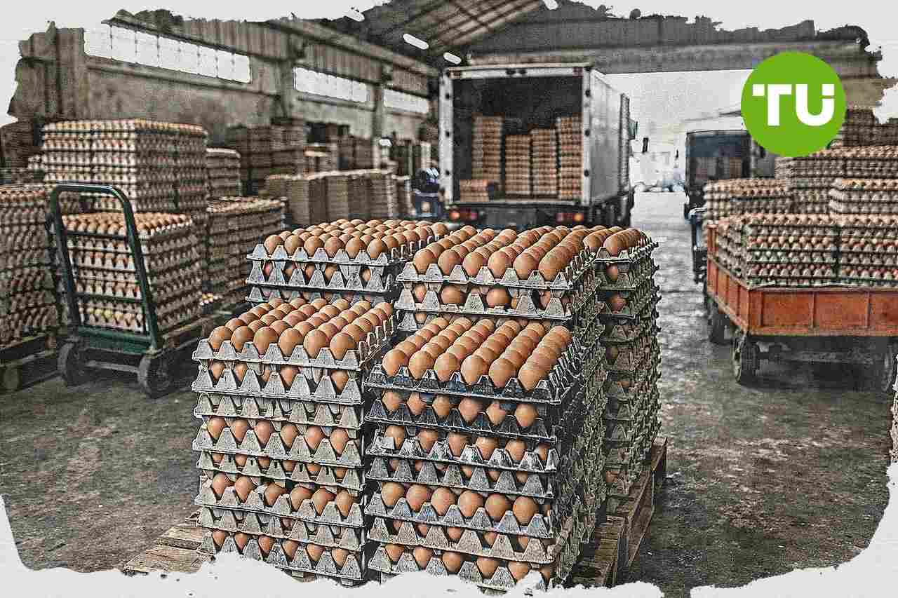 Kementan perkuat serapan telur untuk menstabilkan harga di sentra produksi