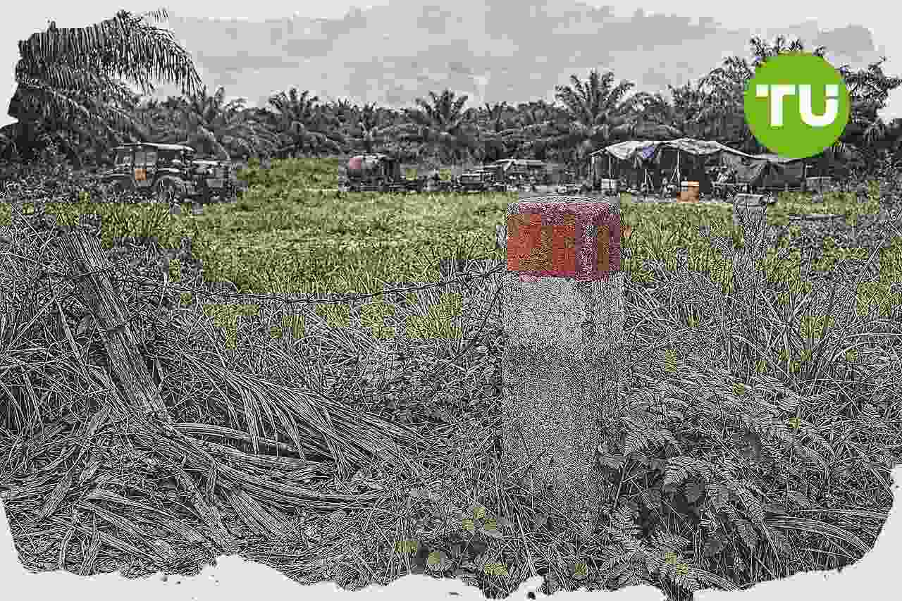 Sofyan Djalil nilai redistribusi lahan eks perkebunan lemah di Indonesia