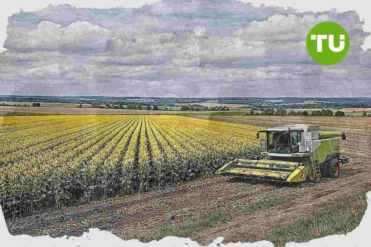 Deutschland meldet rund zwei Millionen Hektar für Bioenergie-Anbau