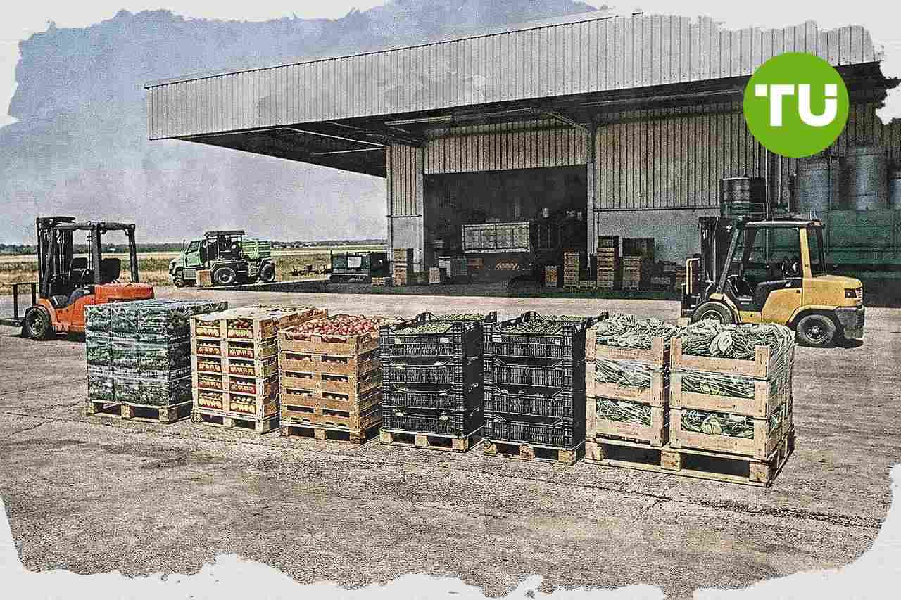 Las cooperativas agroalimentarias de Extremadura elevan ingresos y refuerzan su peso en la economía regional