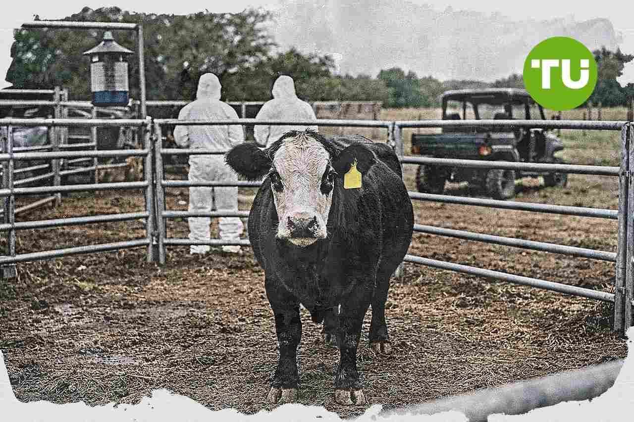 U.S. agriculture response to screwworm faces scrutiny as beef price risks grow