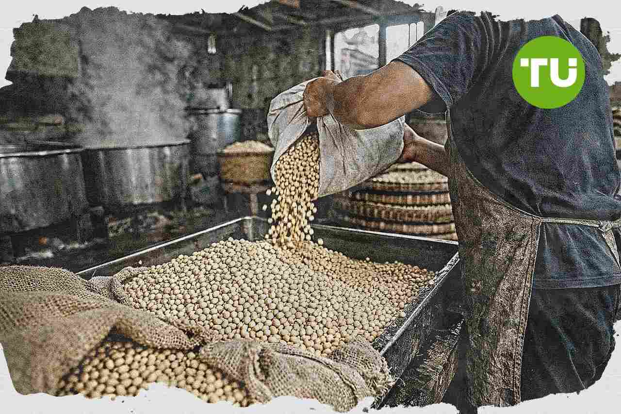 Pemerintah siapkan subsidi kedelai Rp2.000 per kg untuk topang produksi tempe