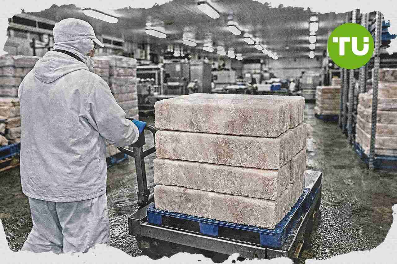 EU plant Kürzung russischer Alaska-Seelachs-Importe, Risiken für deutsche Tiefkühlfischindustrie steigen