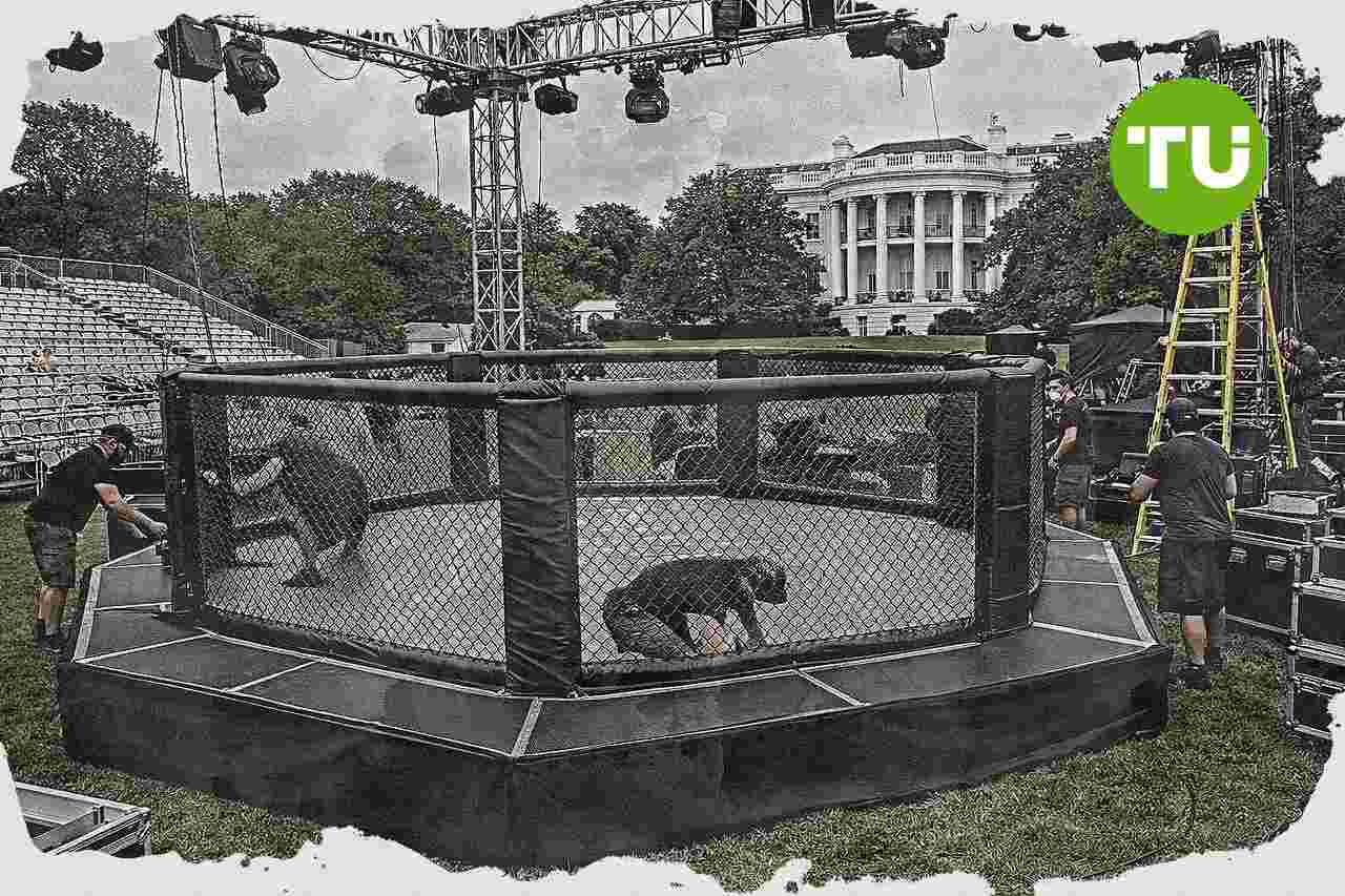 World Liberty Financial funds UFC bonuses with USD1 at White House event