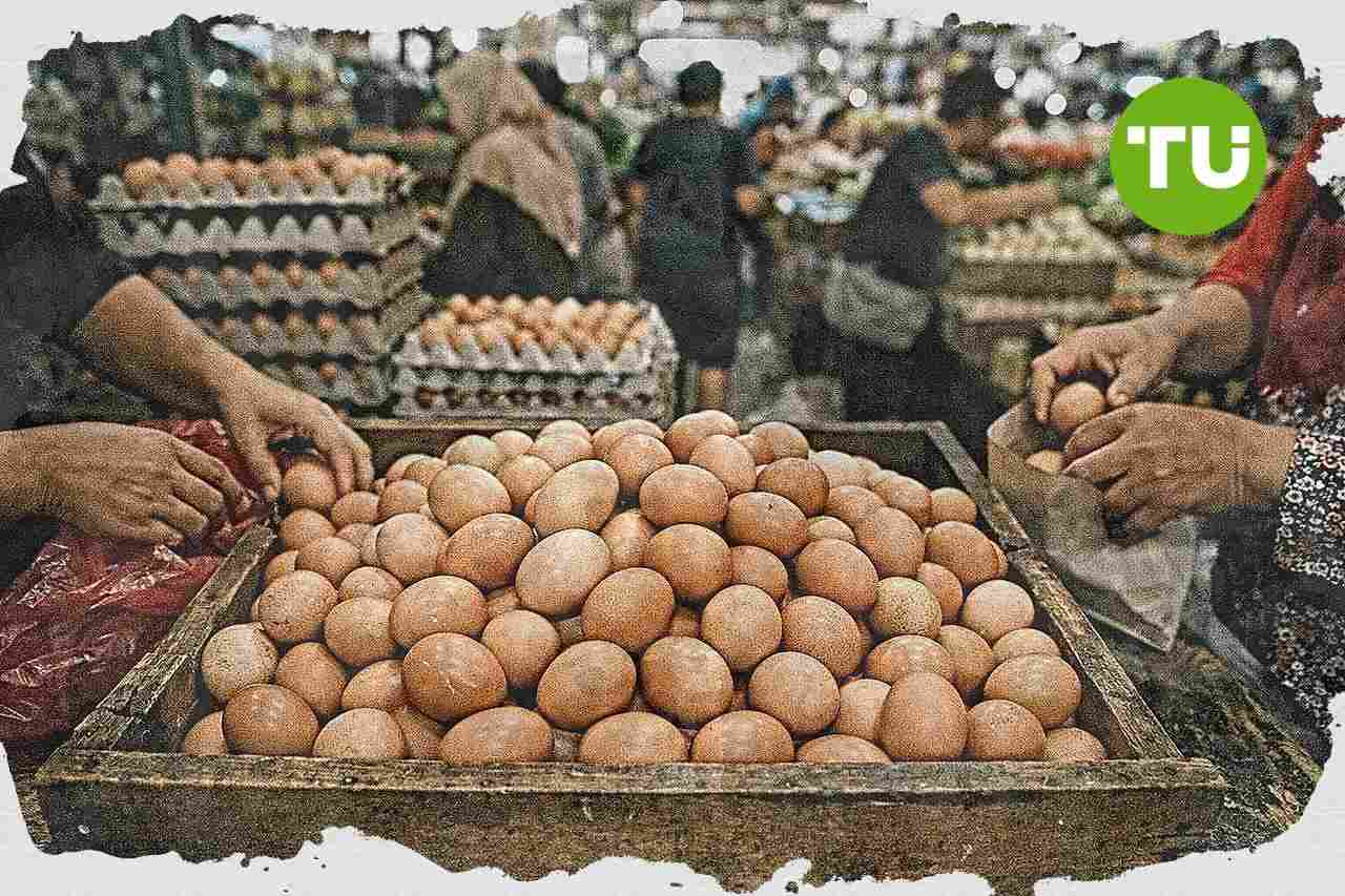 Kementerian Pertanian dorong pemulihan harga sawit, telur, dan ayam di Indonesia
