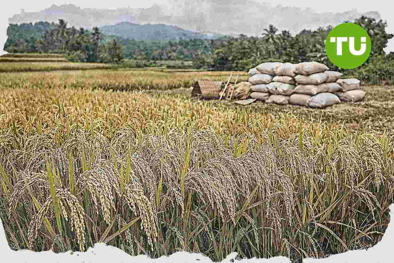Kementerian Pertanian dorong kewirausahaan agribisnis lewat kuliah umum di IPB