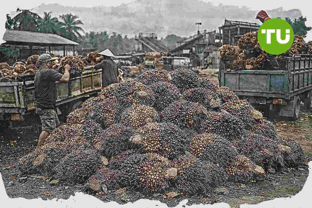Kementerian Pertanian perketat pengawasan tata niaga sawit setelah fluktuasi harga TBS petani
