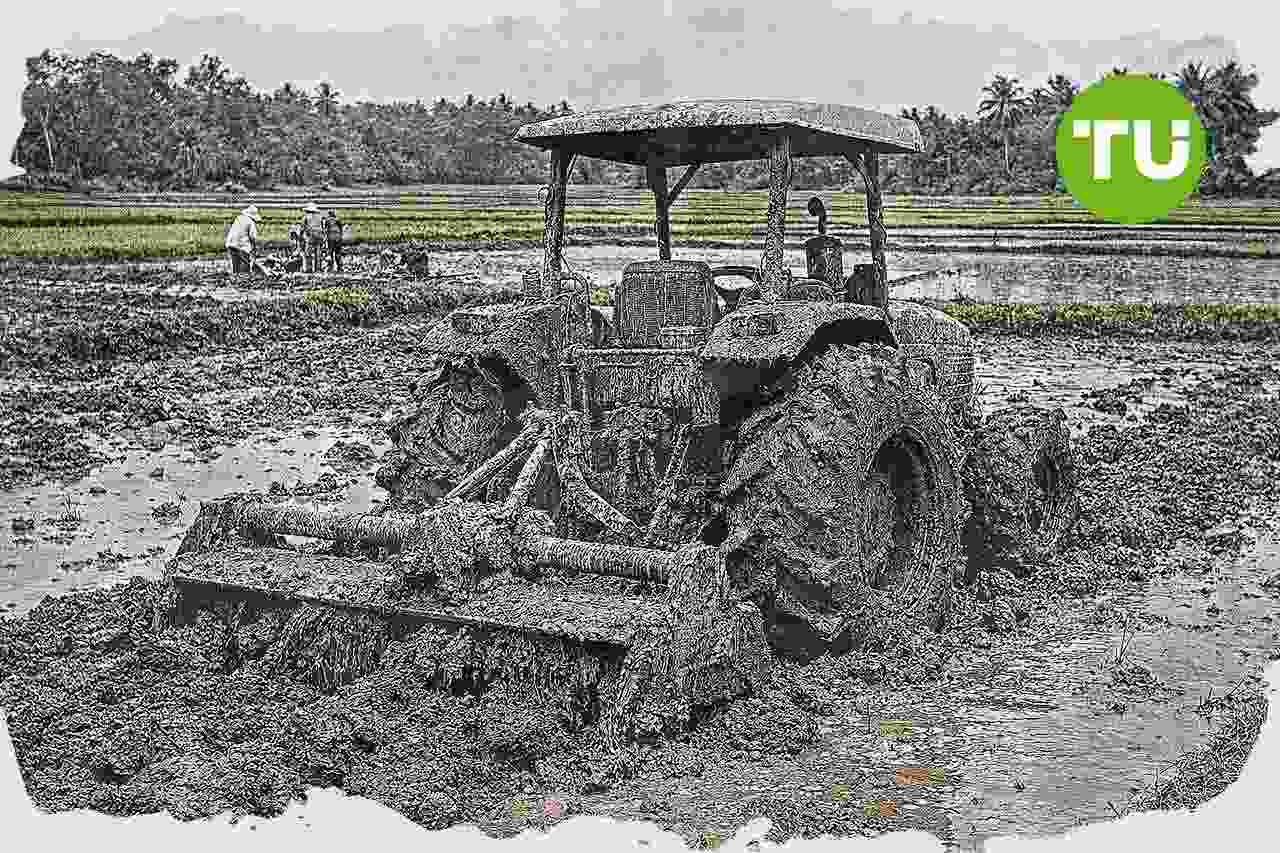 Kementerian Pertanian perluas program cetak sawah Papua, petani dukung mekanisasi