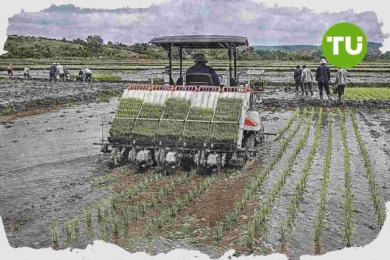 Kementan gelar tanam serempak 52.510 hektare di 25 provinsi untuk dorong produksi pangan