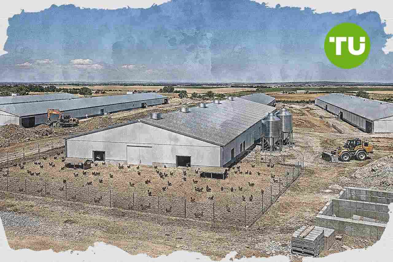 Huevos Guillén suma a CEX Capital para financiar una granja avícola de 18 millones en Extremadura