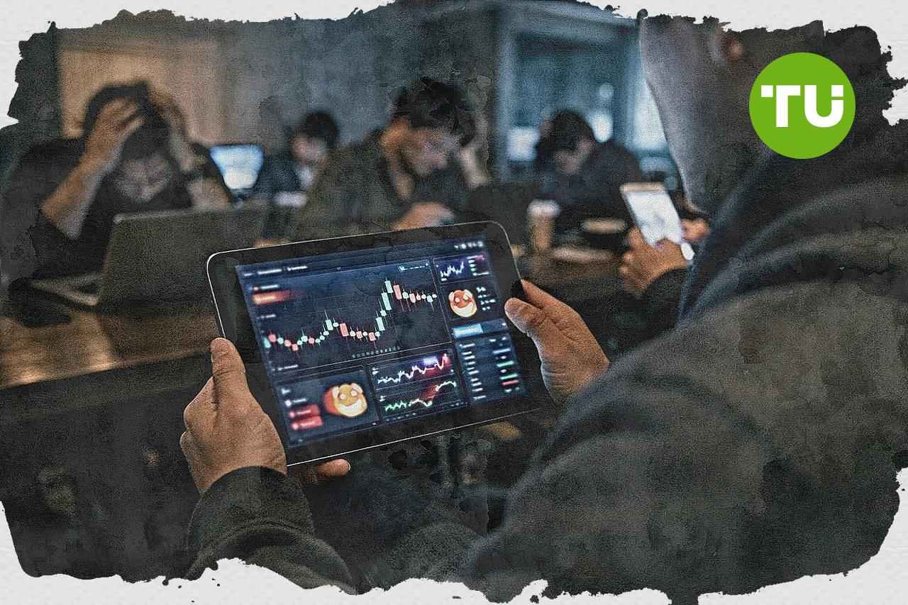 금융감독원, DEX 밈코인 러그풀 위험 경고