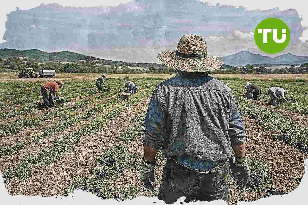 Los trabajadores magrebíes consolidan un récord de afiliación en España y superan los 450.000 en 2026