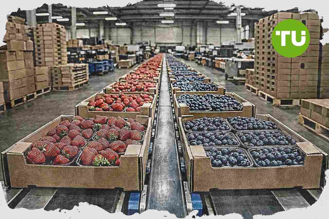 España refuerza el liderazgo de los frutos rojos con exportaciones de más de 2.100 millones de euros