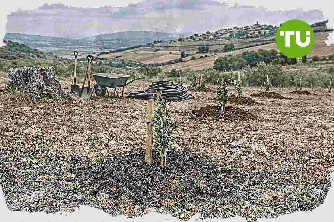 Italia approva Coltivaitalia, oltre 1 miliardo per investimenti agricoli dal 2027 al 2029