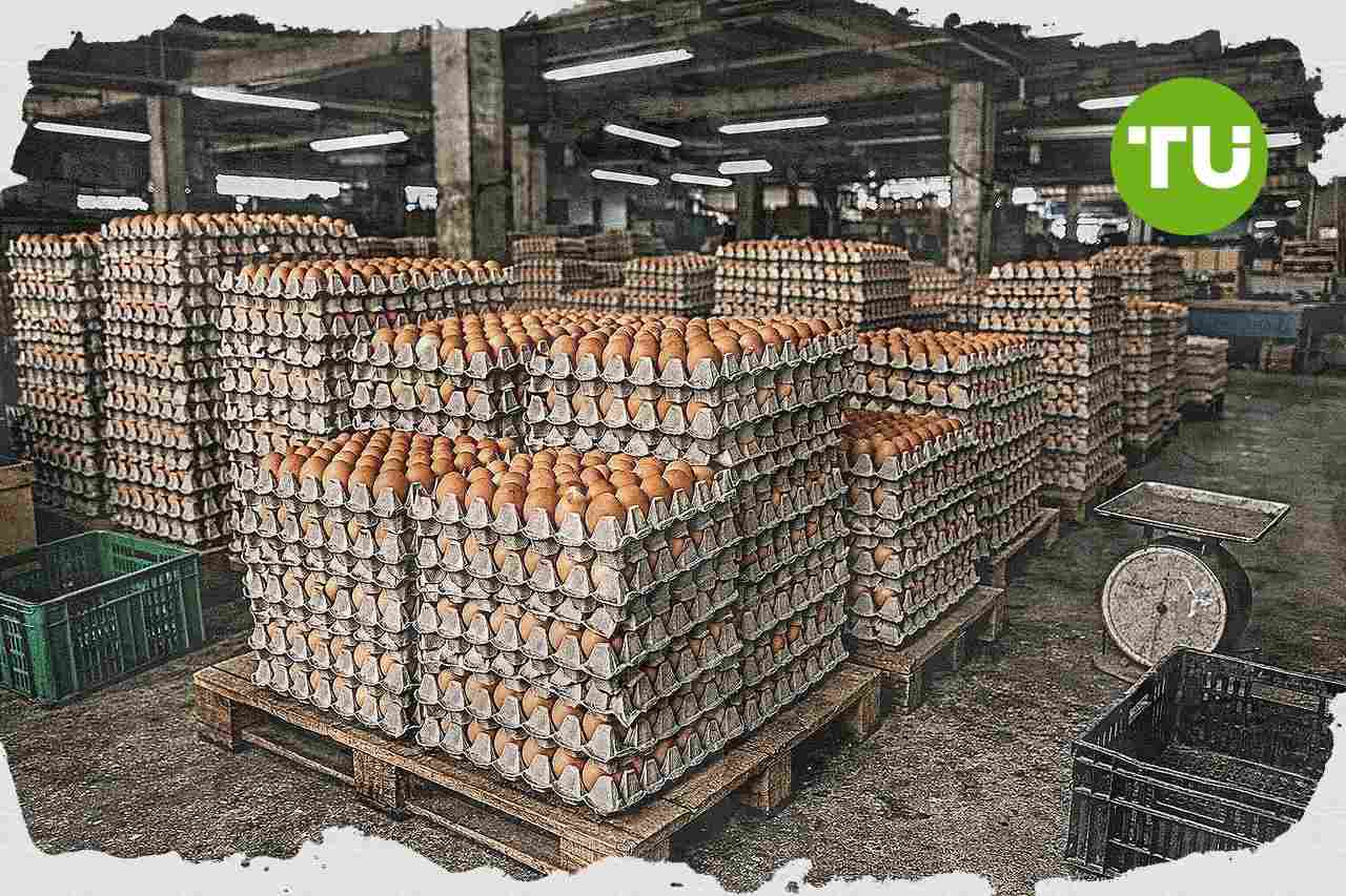 Pemerintah dorong penyerapan telur lewat BGN saat harga jatuh di bawah acuan