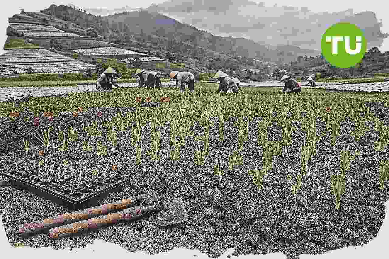 Kementan siapkan fondasi swasembada bawang putih untuk tekan impor