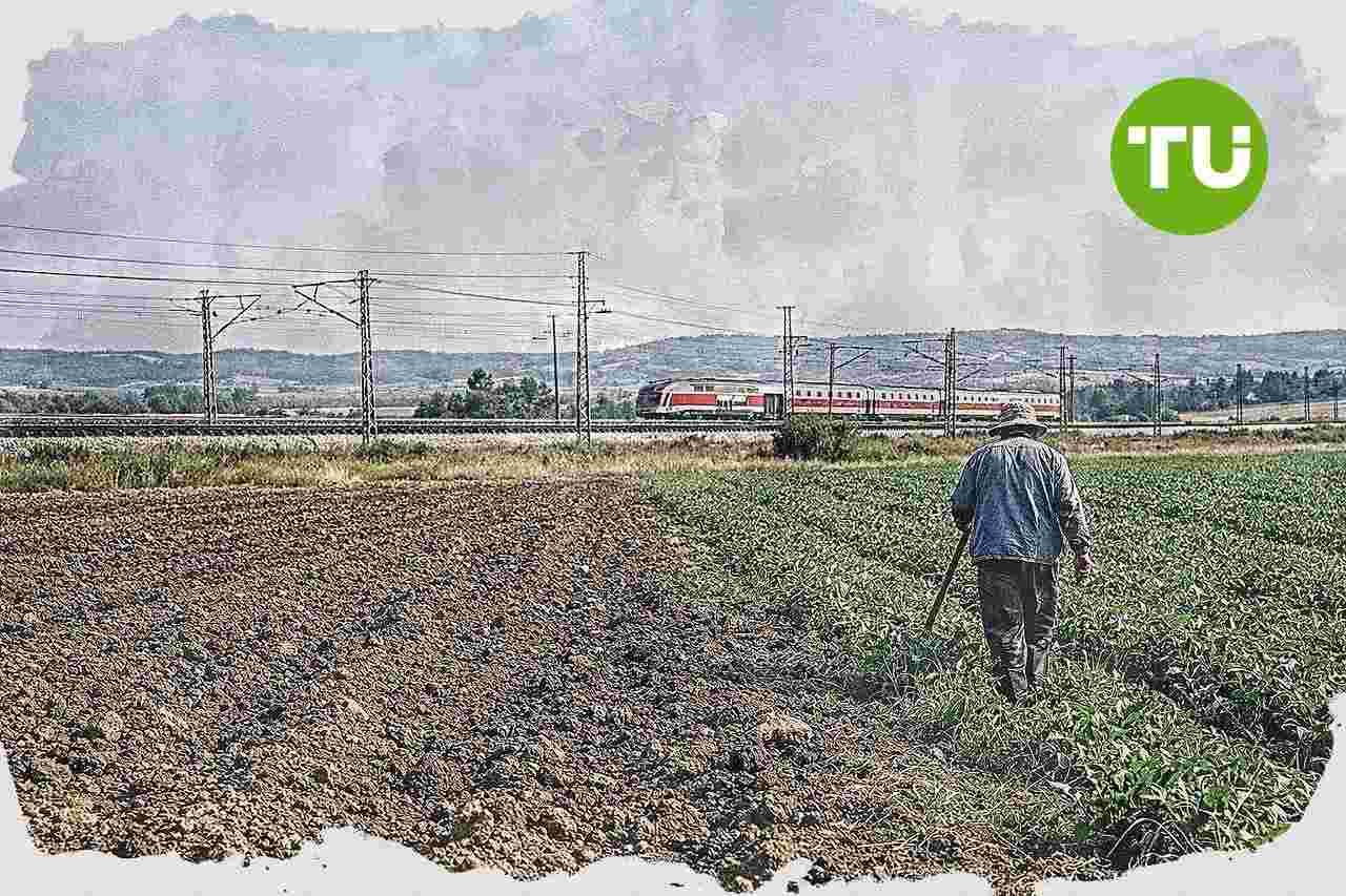 הוועדה המחוזית חיפה מקדמת בחינת יישוב דרוזי חדש בהיקף של כ-1,000 יחידות דיור