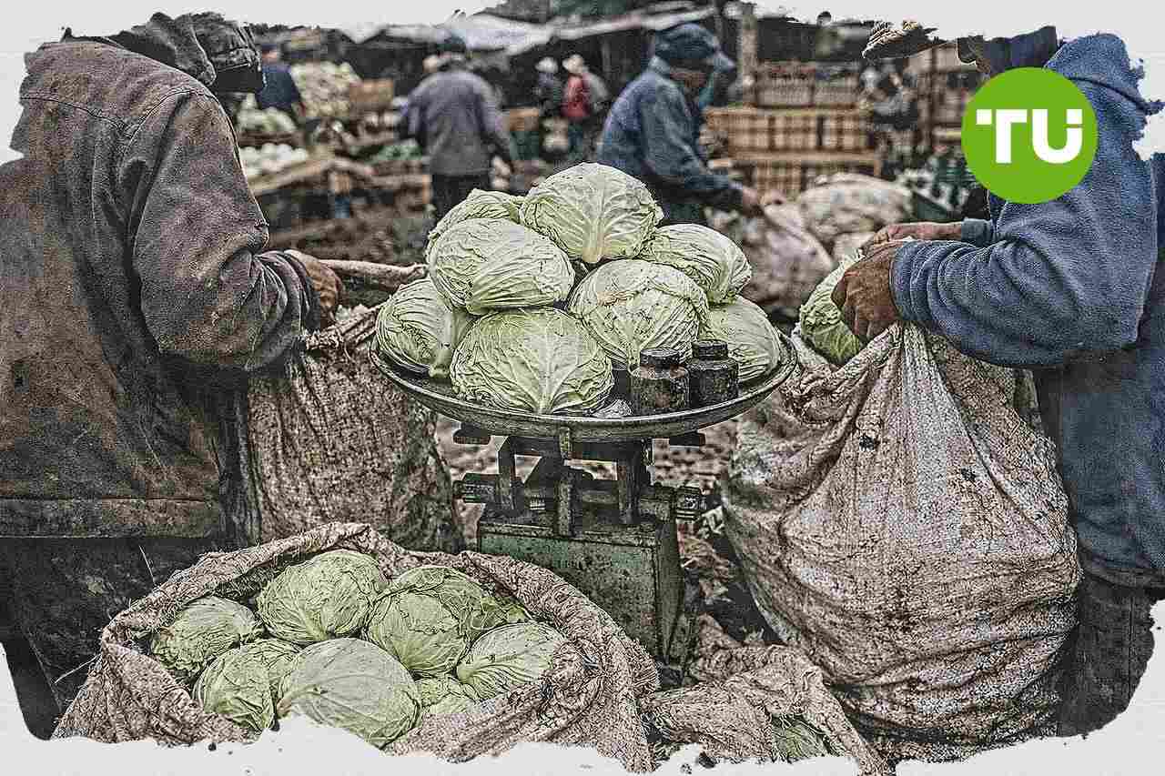 Tani Merdeka Indonesia klaim program MBG topang penyerapan panen dan stabilitas harga