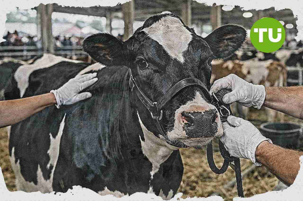 Szepietowo podsumowuje Krajowe Dni Pola, resort akcentuje fundusze UE i rozwój sektora agro