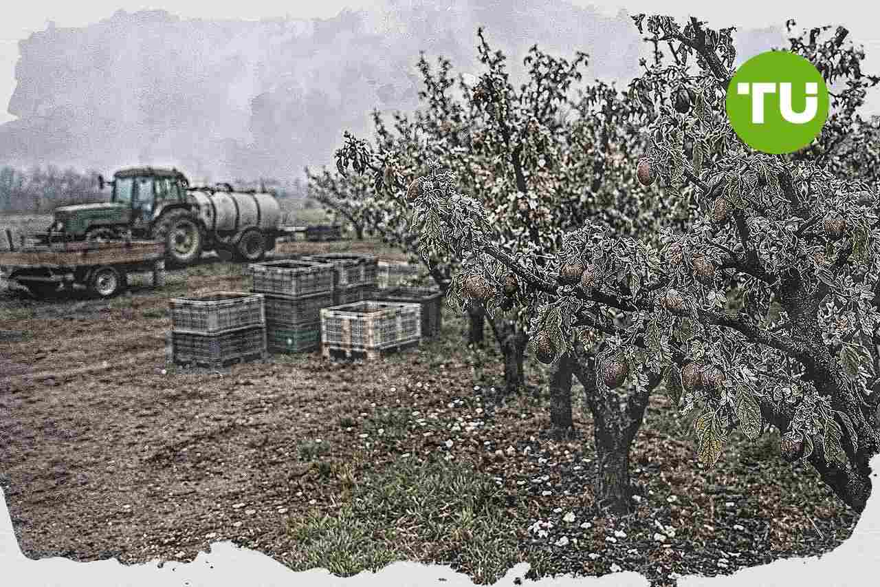 Česká republika žádá rychlé čerpání vyšší zemědělské rezervy EU kvůli tlaku na farmářské marže