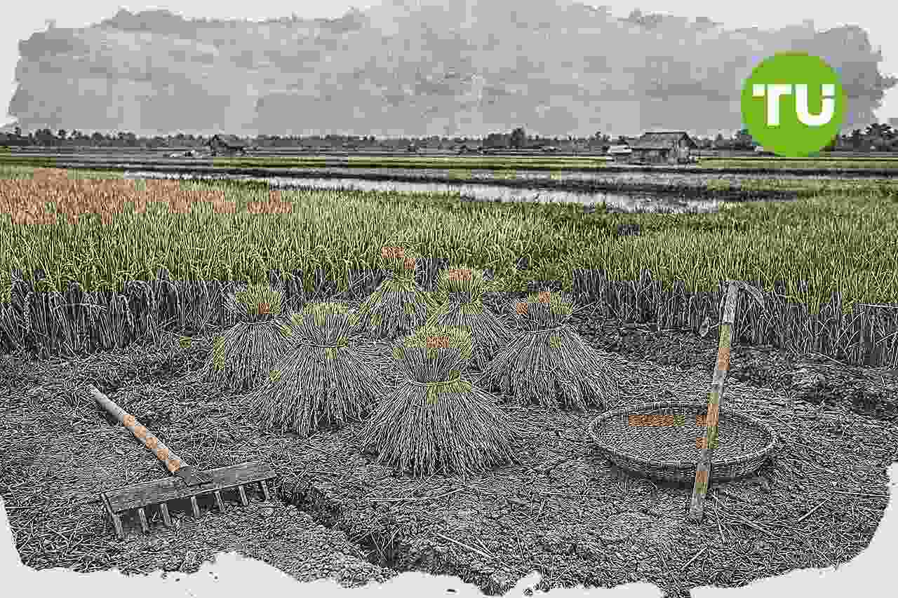 Prabowo soroti risiko impor beras bagi petani dalam pidato di Gorontalo