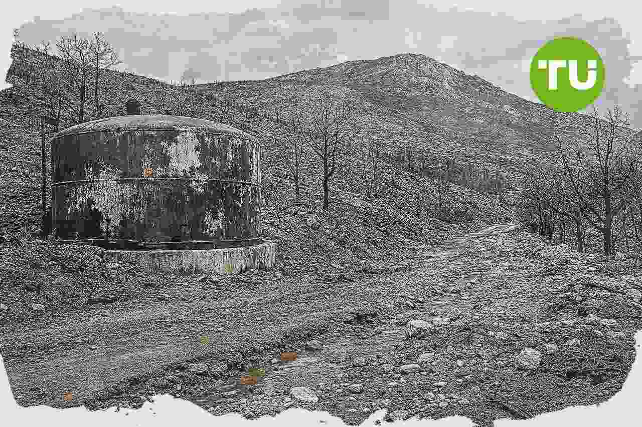 Ελλάδα αντιμετωπίζει διαρκές έλλειμμα δασοπροστασίας καθώς οι πυρκαγιές επιβαρύνουν το φυσικό κεφάλαιο