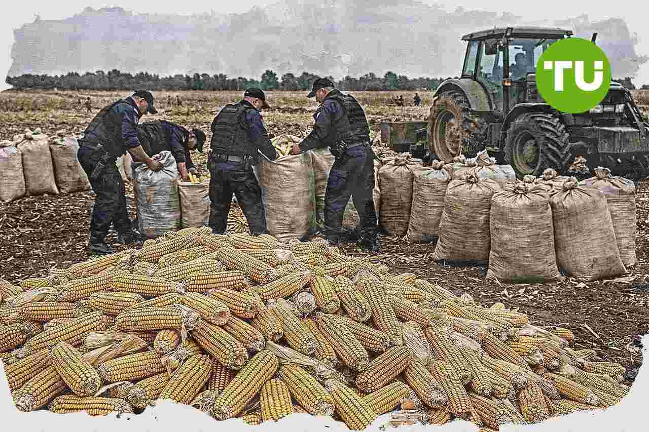 Peran TNI-Polri dalam pertanian menguat seiring dorongan swasembada pangan Indonesia