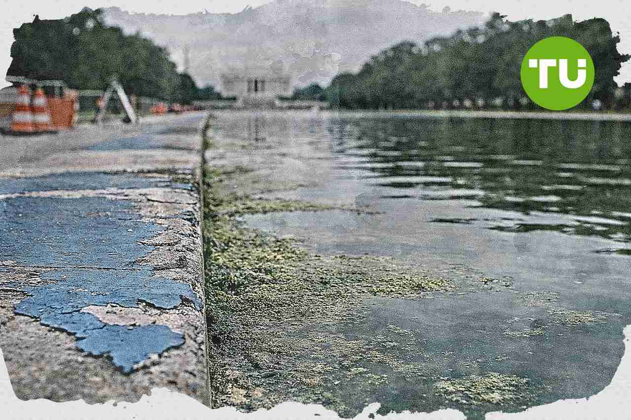 Senate Democrats probe Washington reflecting pool overhaul as costs top $16 million