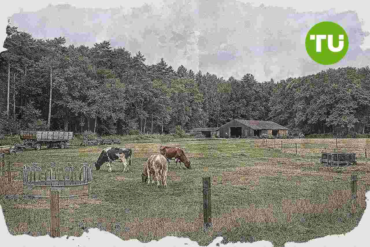 Nederlands kabinet scherpt stikstofaanpak aan met zones rond natuurgebieden