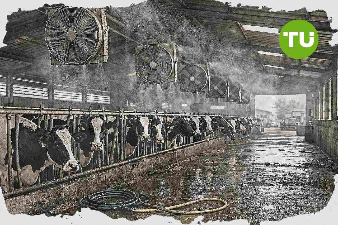Agricoltura italiana, la crisi climatica amplia danni e costi operativi