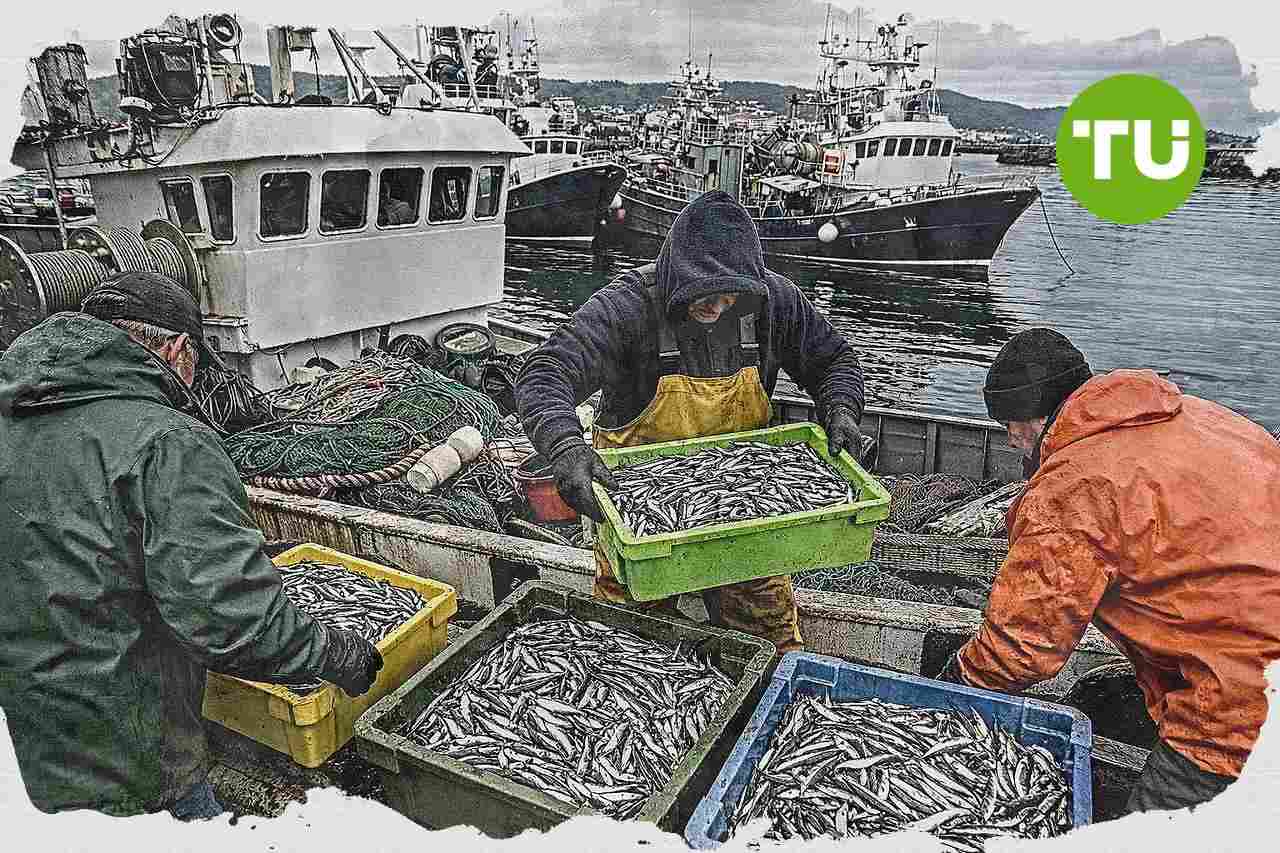 España fija la cuota de anchoa en 1.632 toneladas para la costa oeste de Galicia