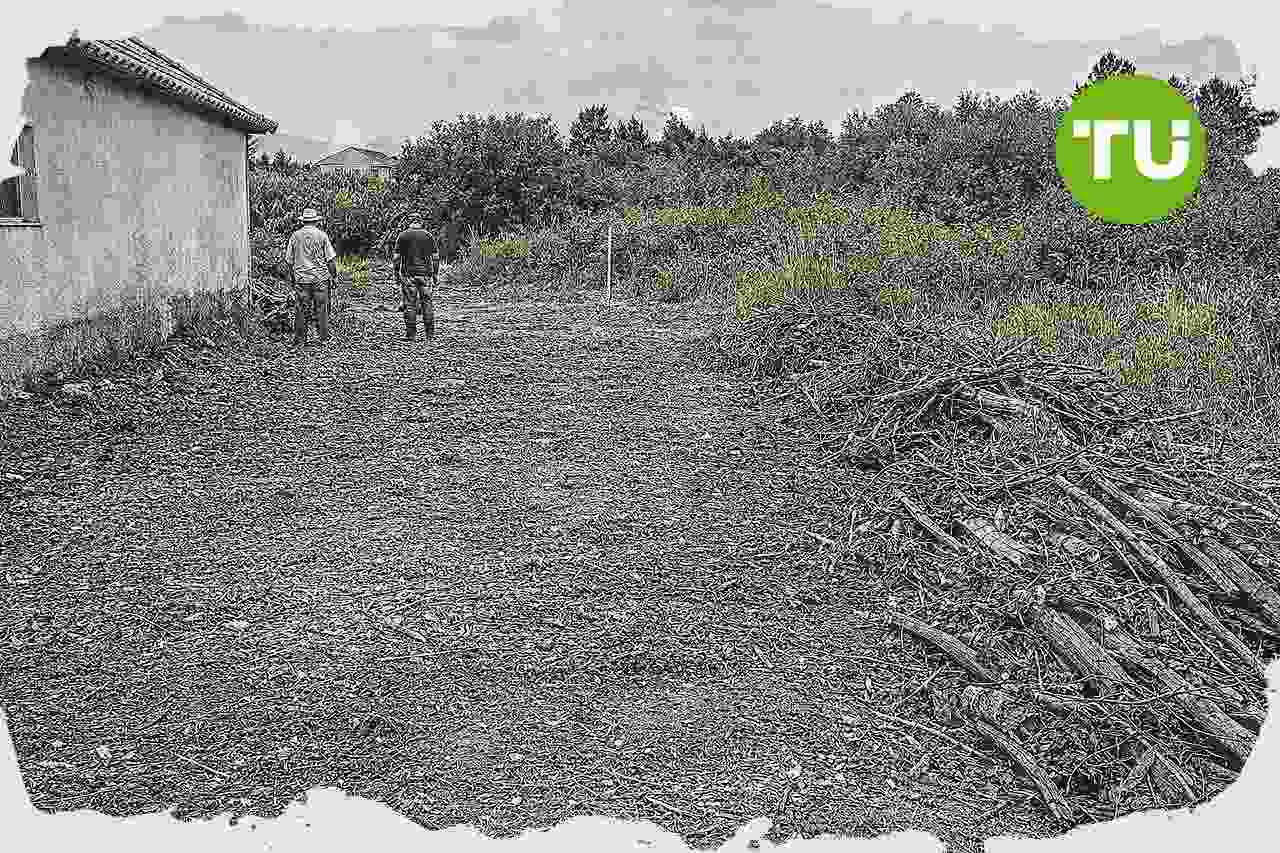 Portugal aplica prazo final de limpeza de terrenos e expõe proprietários a coimas até 25 mil euros