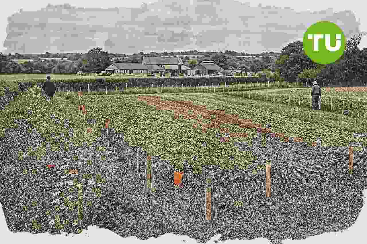 England opens first SFI application window for small farms and new ELM entrants
