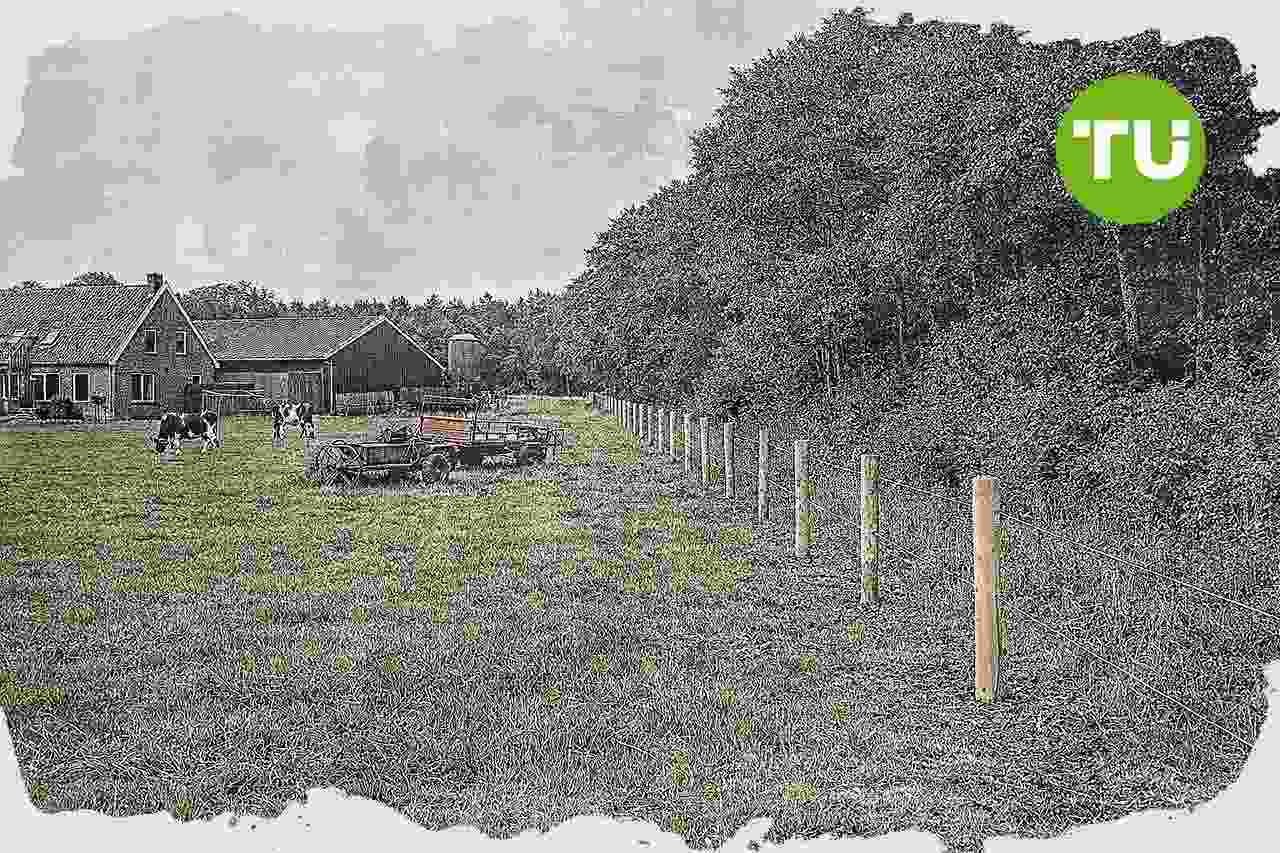 Nederlandse stikstofplannen krijgen Kamersteun voor vergunningen en bouw