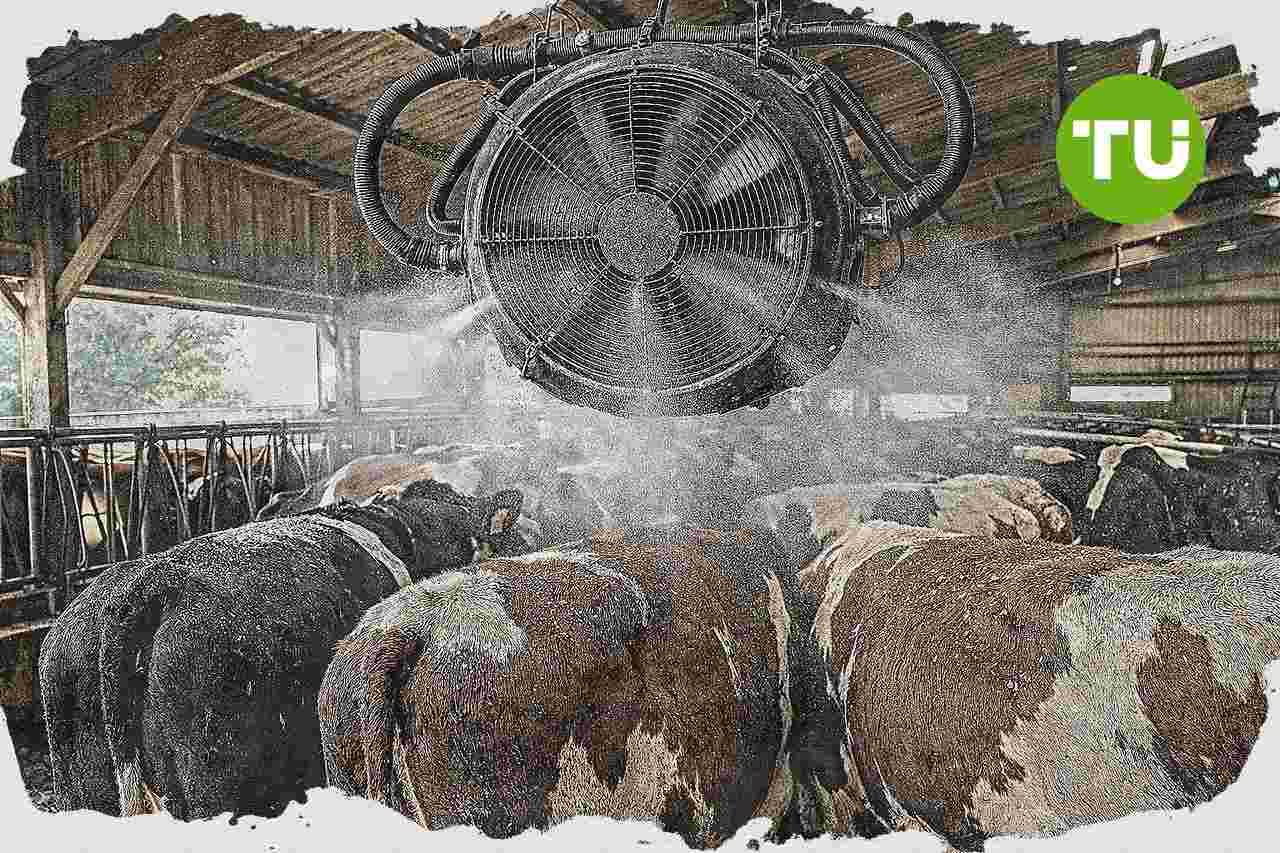 France renforce son soutien d'urgence à l'agriculture face à la canicule