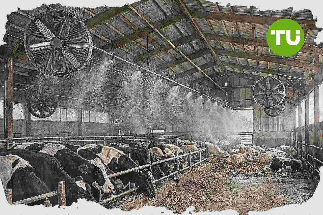 Le ministère de l’agriculture débloque des prêts de trésorerie pour adapter les élevages à la canicule