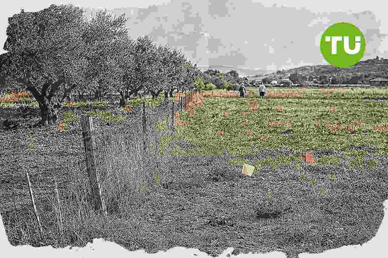 Grecia condena a 57 agricultores de Creta por fraude en subvenciones agrícolas