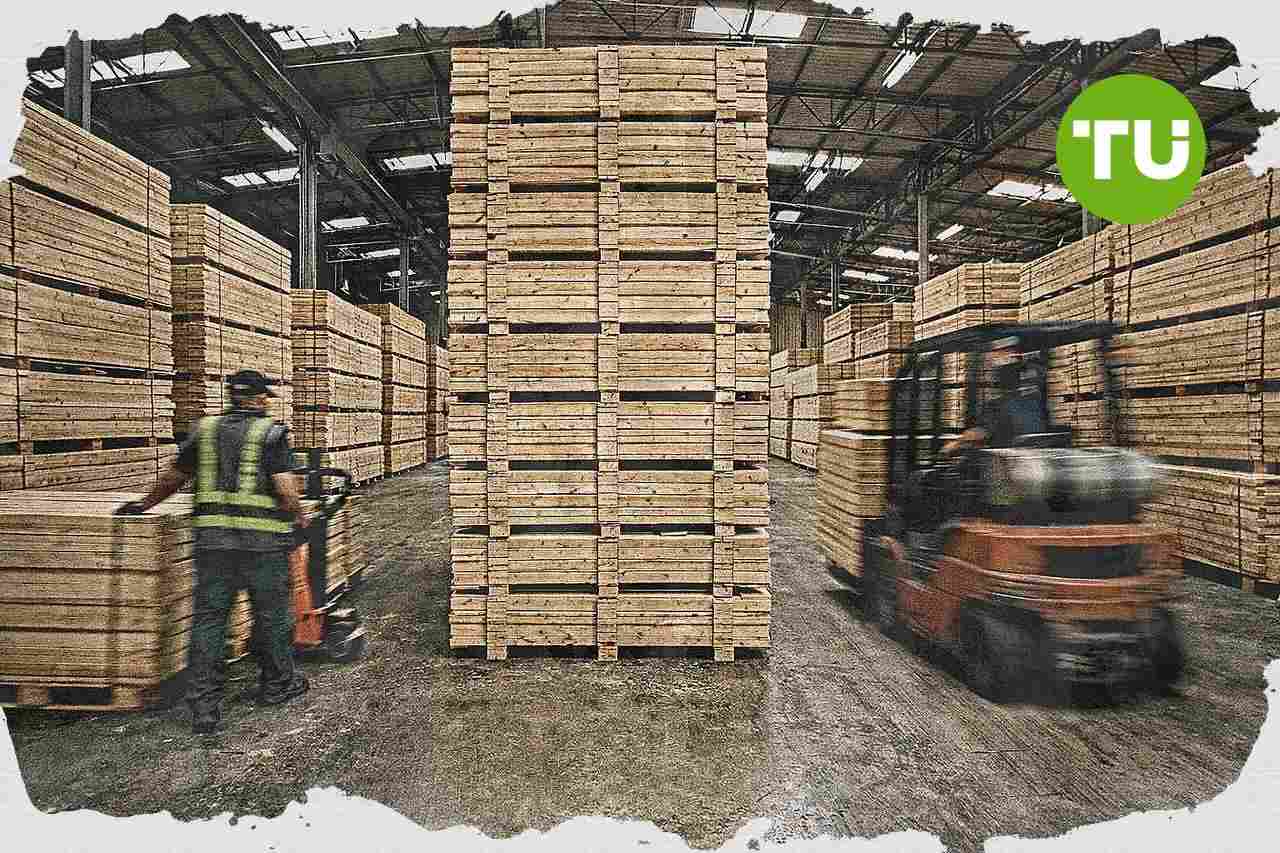 James Latham reports higher revenue and profit, lifts dividend
