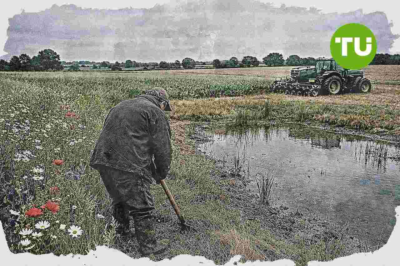 UK expands farm support schemes to back regenerative agriculture