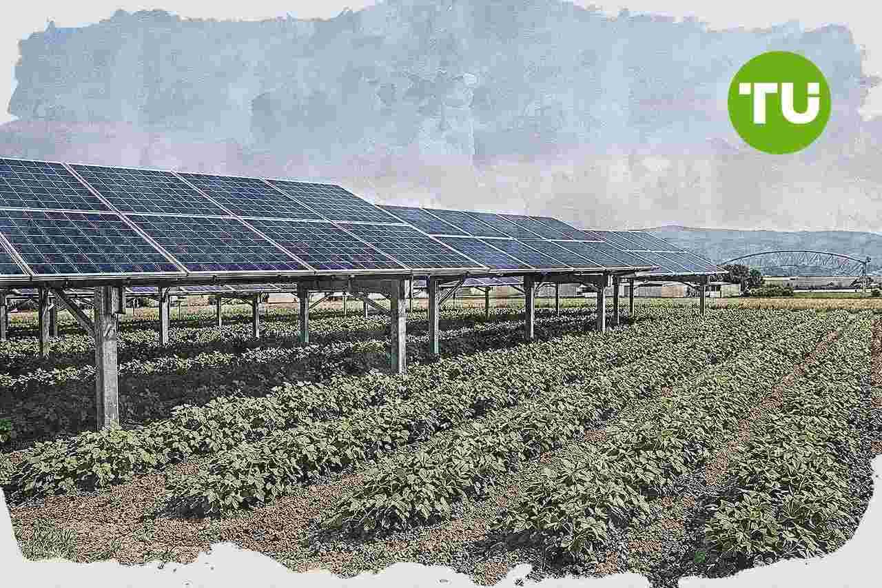 Cia Agricoltori italiani lancia EnerCia per spingere l’agrivoltaico e le comunità energetiche