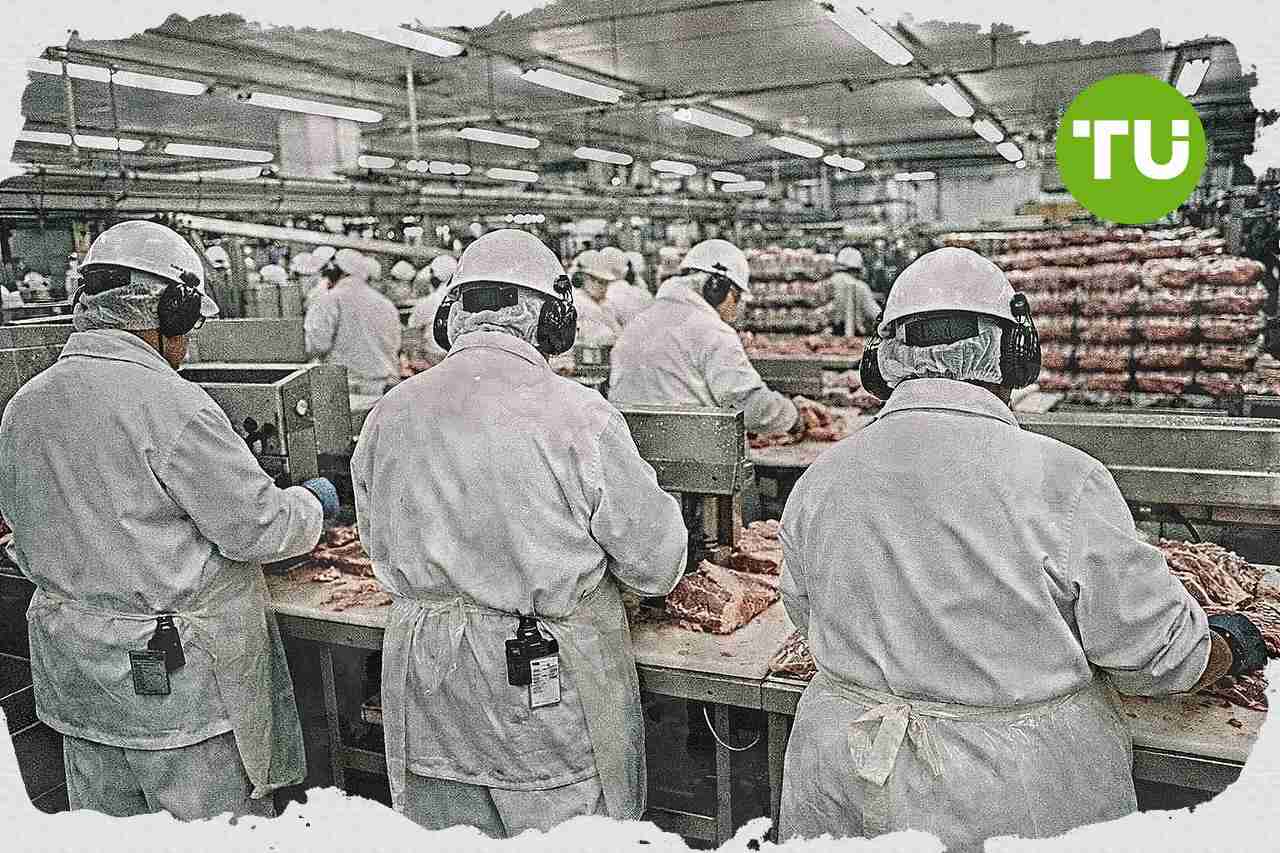 Nederlandse vleessector krijgt verbod op uitzendkrachten na aanhoudende arbeidsmisstanden