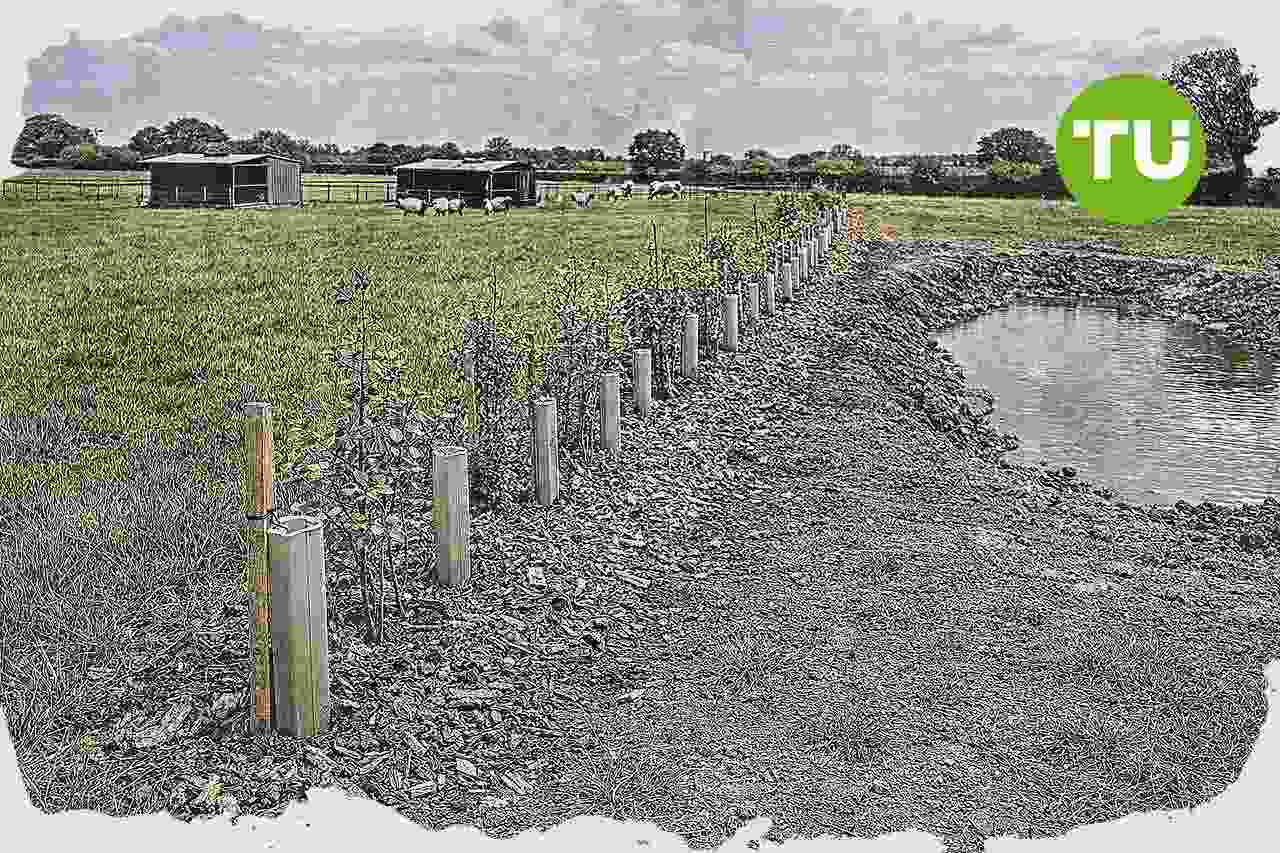 UK farmers expand regenerative practices as heatwaves and input costs reshape operations