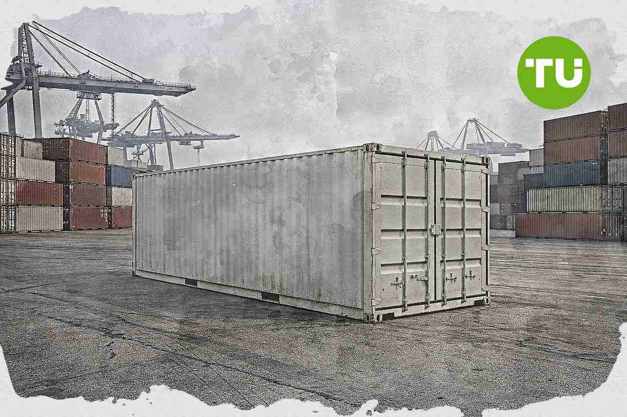 עסקת מכירת צים נתקלת בהתנגדות ביטחונית בישראל