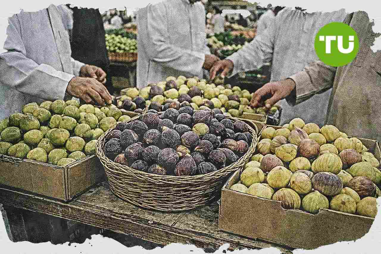 إنتاج التين المحلي يدعم المعروض الصيفي في أسواق السعودية