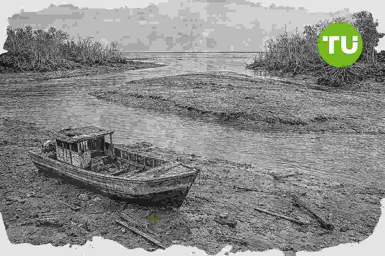 Komisi IV DPR bentuk tim khusus untuk investigasi limbah tambang di Mimika
