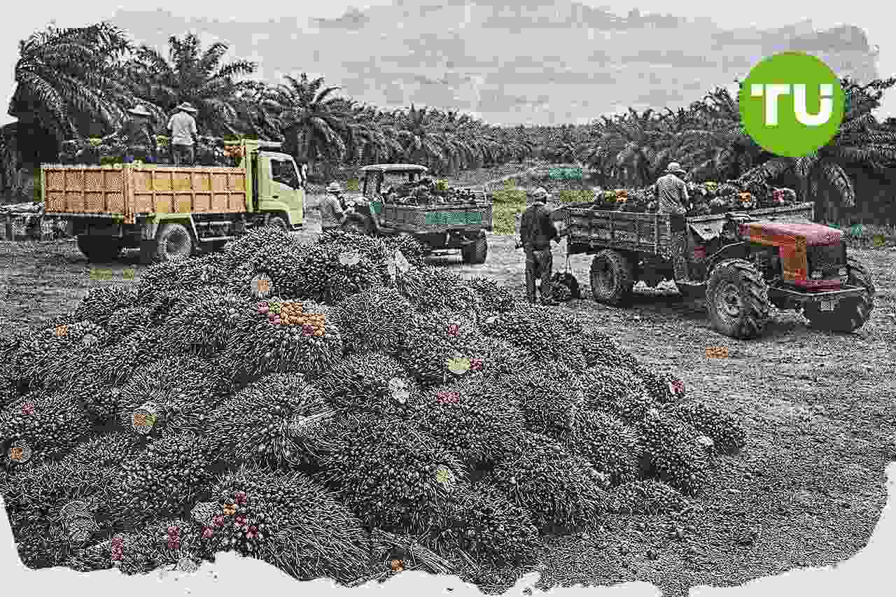 BUMN di bawah Danantara catat pertumbuhan laba, agroindustri muncul sebagai motor baru
