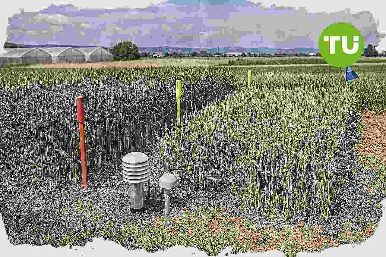 Neiker y el Gobierno vasco movilizan 2,5 millones para innovación agroforestal en Euskadi