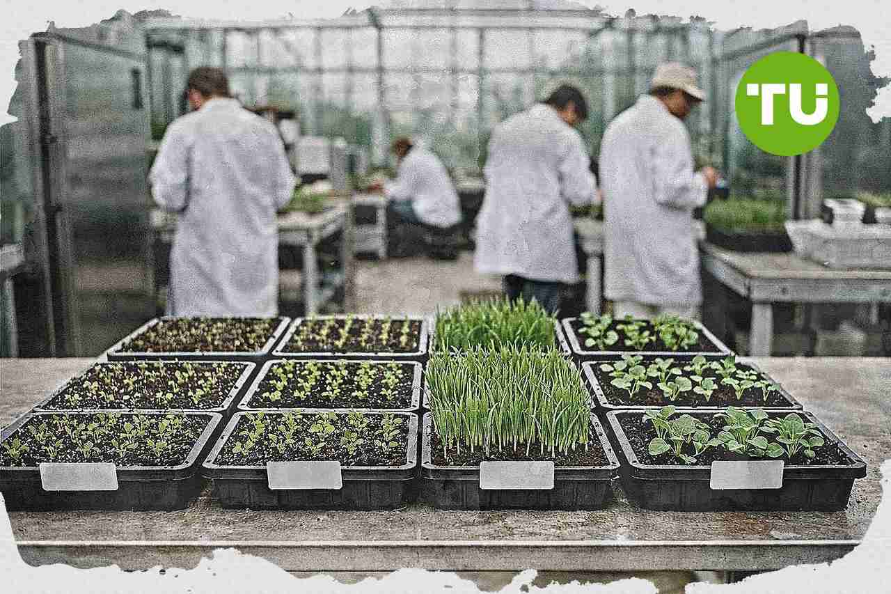España autoriza contribuciones agrícolas internacionales por 188.182 euros