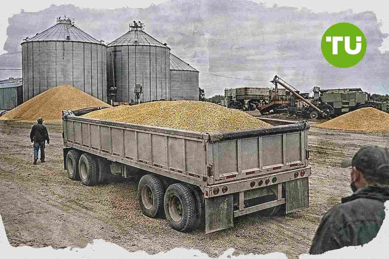 A magyar agrárium versenyhátrányba kerül az erős forint és az alacsony világpiaci árak miatt